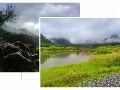【在广东·途个乐】畅游仙湖营地，奢享雨后盛景 
